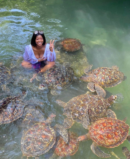 Swimming with Turtles in their  Natural Aquarium